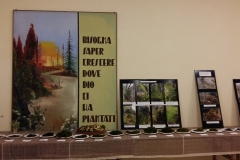 3-Pensiero-di-saggezza