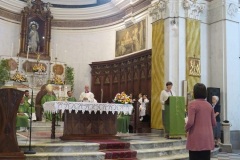 Presentazione della Professa