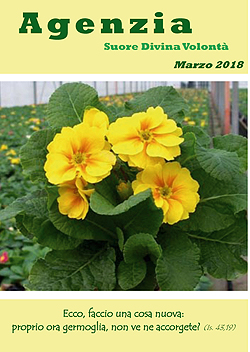 Agenzia marzo 2018